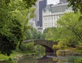 Central Park Gapstow bridge