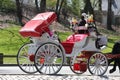 Central Park Horse carriage, New York