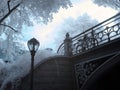 Central Park Infrared Royalty Free Stock Photo