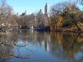 Central Park Lake in Winter Royalty Free Stock Photo