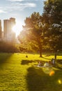 Central Park life in New York at sunset Royalty Free Stock Photo