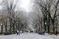 Central Park Literary Walk