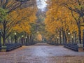Central Park Mall in autumn Royalty Free Stock Photo