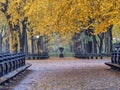 Central Park Mall in autumn Royalty Free Stock Photo