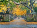 Central Park Mall in autumn Royalty Free Stock Photo