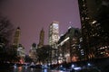 Central Park and manhattan skyline at night Royalty Free Stock Photo