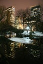 Central Park and manhattan skyline at night Royalty Free Stock Photo