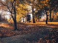 Central Park Moments on a sunny day in NYC Royalty Free Stock Photo