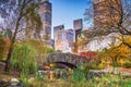 Central Park, New York City Autumn Royalty Free Stock Photo