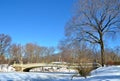 Central Park, New York City bow bridge in the winter. New York. Royalty Free Stock Photo