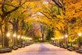 Central Park in New York City Royalty Free Stock Photo