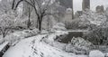 Central Park New York City, Manhattan during blizzard Royalty Free Stock Photo