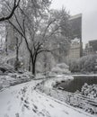 Central Park New York City, Manhattan during blizzard Royalty Free Stock Photo