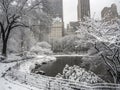 Central Park New York City, Manhattan during blizzard Royalty Free Stock Photo