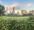 Central Park, New York City,sheep meadow Royalty Free Stock Photo
