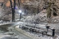 Central Park, New York City Royalty Free Stock Photo