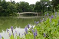 Central Park, New York City in Spring