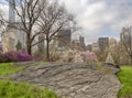 Central Park, New York City spring Royalty Free Stock Photo