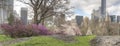 Central Park, New York City spring Royalty Free Stock Photo