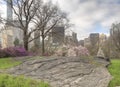 Central Park, New York City spring Royalty Free Stock Photo