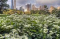 Central Park summer