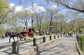 Central Park New York City Royalty Free Stock Photo