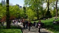 Central Park in New York City Royalty Free Stock Photo