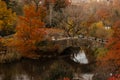 Central Park, New York City, USA. Manhattan skyline Royalty Free Stock Photo