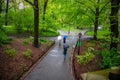 Central Park, New York city. Women walking on a path holding umbrellas Royalty Free Stock Photo