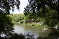 Central park - New York - green and luxuriant vegetation