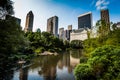 Central Park in New York. Skyscrappers on the backgroud. Summer. New York Royalty Free Stock Photo