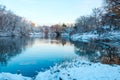 Central Park. New York. USA in winter Royalty Free Stock Photo