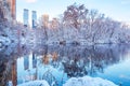 Central Park. New York. USA in winter covered with snow Royalty Free Stock Photo