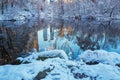 Central Park. New York. USA in winter covered with snow Royalty Free Stock Photo