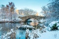 Central Park. New York. USA in winter covered with snow Royalty Free Stock Photo