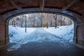 Central Park. New York. USA in winter covered with snow