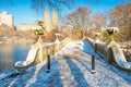 Central Park. New York. USA in winter covered with snow. Bow bridge. Royalty Free Stock Photo