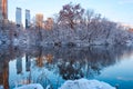 Central Park. New York. USA in winter Royalty Free Stock Photo