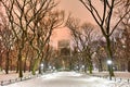 Central Park Night, New York City Royalty Free Stock Photo