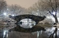 Central Park at night NYC Royalty Free Stock Photo