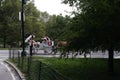 Central Park NYC carriages and pedicabs Royalty Free Stock Photo