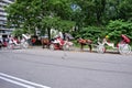 Central Park NYC carriages and pedicabs -2 Royalty Free Stock Photo