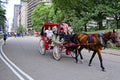 Central Park NYC carriages and pedicabs -6 Royalty Free Stock Photo