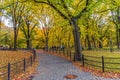 Central Park Path Royalty Free Stock Photo