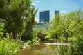 Central Park pond and bridge. New York City, NY, USA. Royalty Free Stock Photo