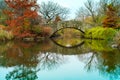 Central Park pond and Gapstow bridge in winter. New York. USA