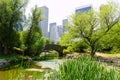 Central Park The Pond Manhattan New York Royalty Free Stock Photo