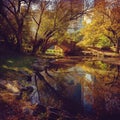 Central Park pond. New York, NY, USA. Royalty Free Stock Photo