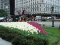 Central Park's Grand Army Plaza, New York Royalty Free Stock Photo