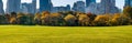 Central Park Sheep Meadow with Fall Foliage, Manhattan, New York